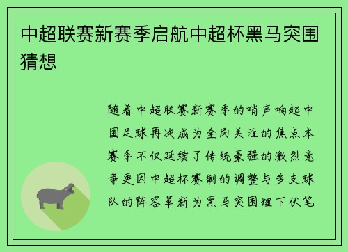中超联赛新赛季启航中超杯黑马突围猜想